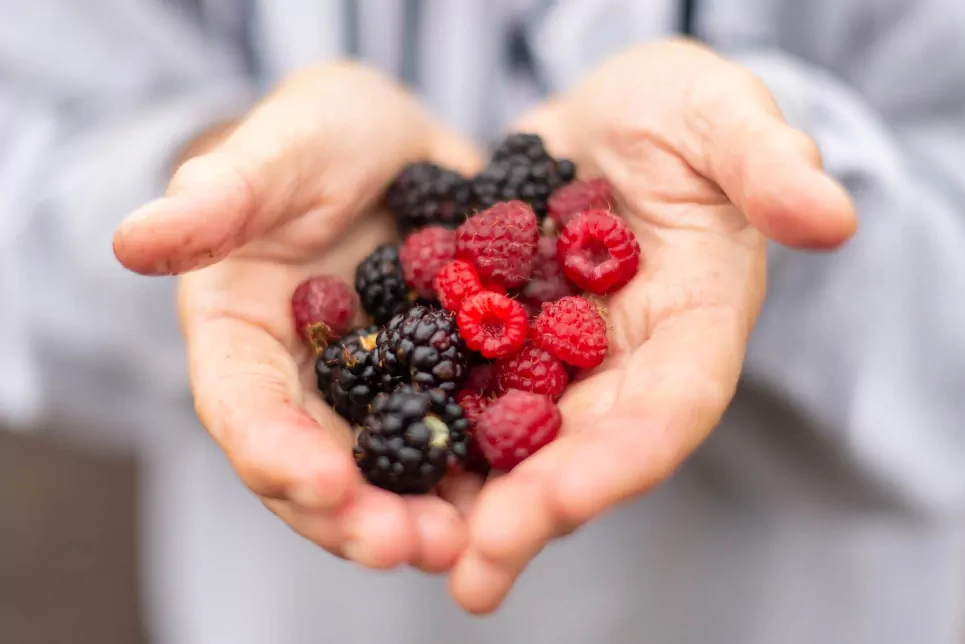 Fighting Liver Disease With Flavonoids: The Complete Guide