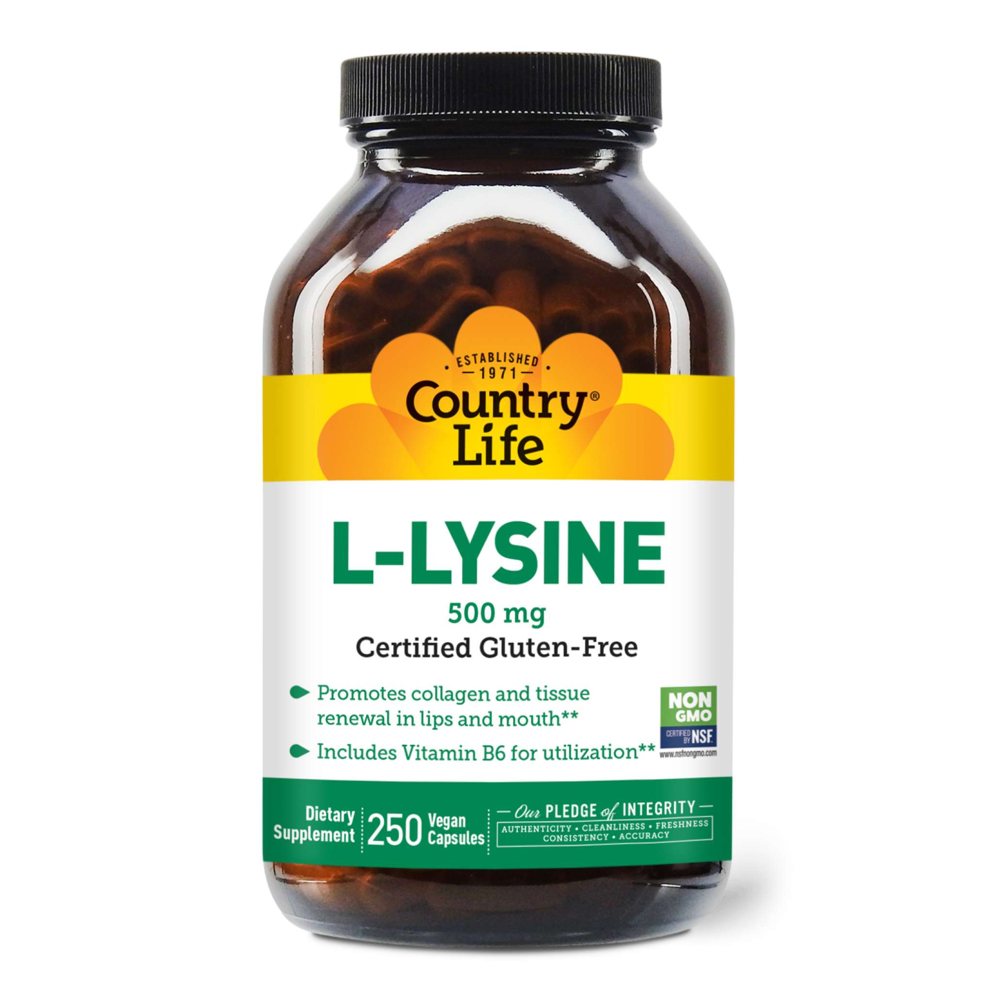Country Life - Lysine 500 W/B6 cap