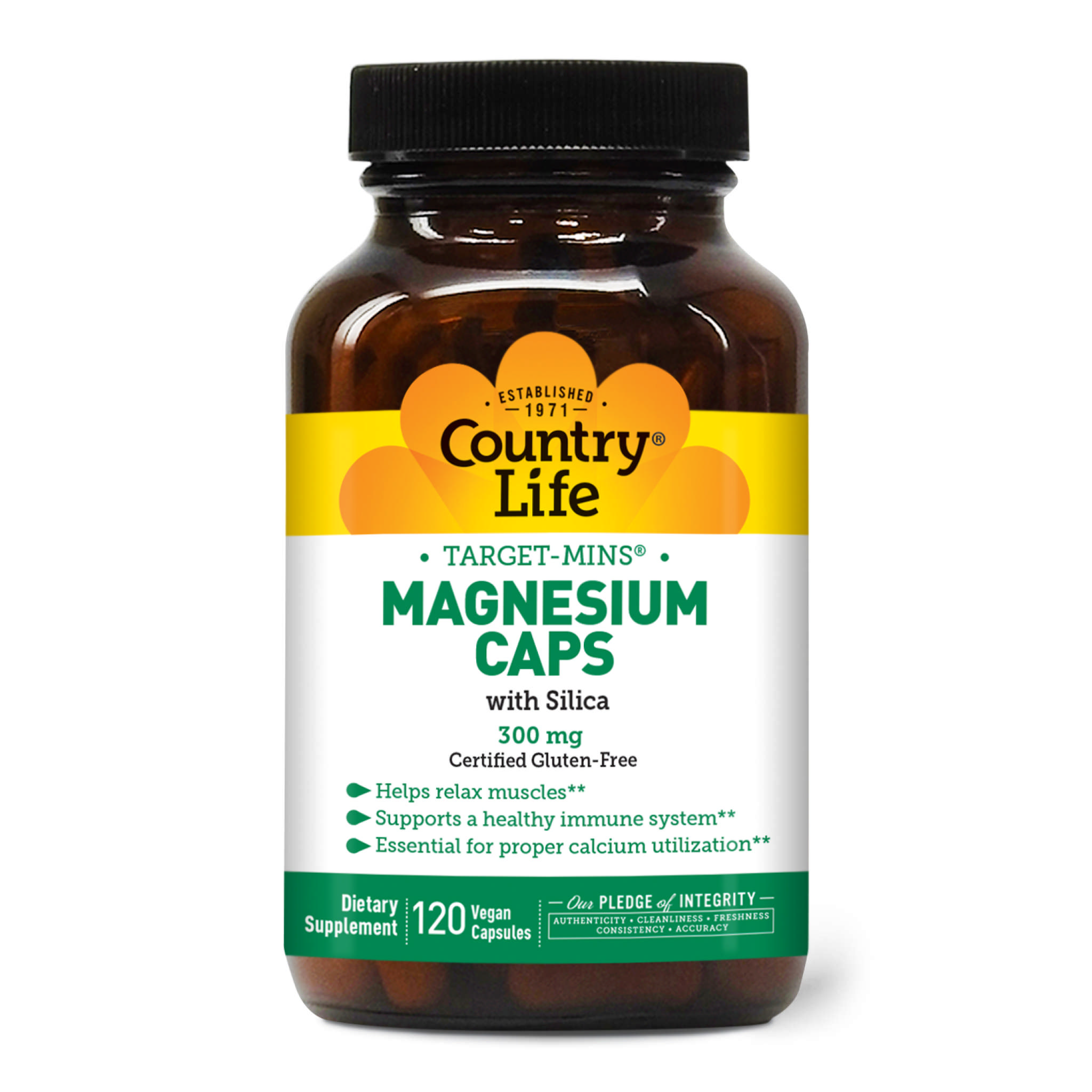 Country Life - Magnesium 300 mg With Silica