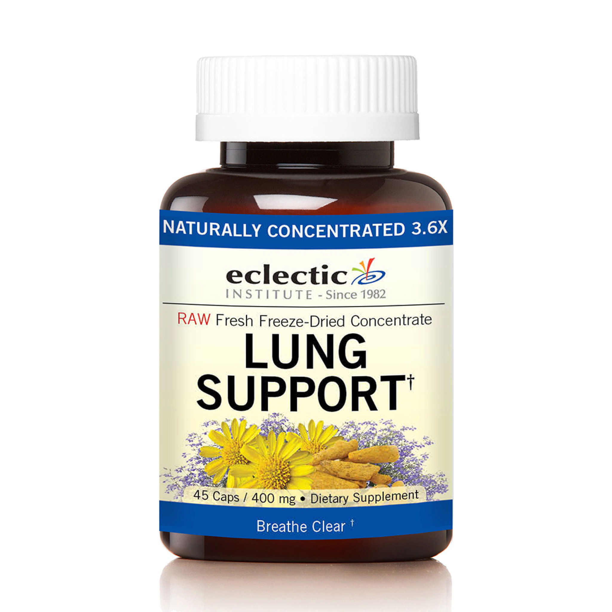 Eclectic Institute - Lung Support