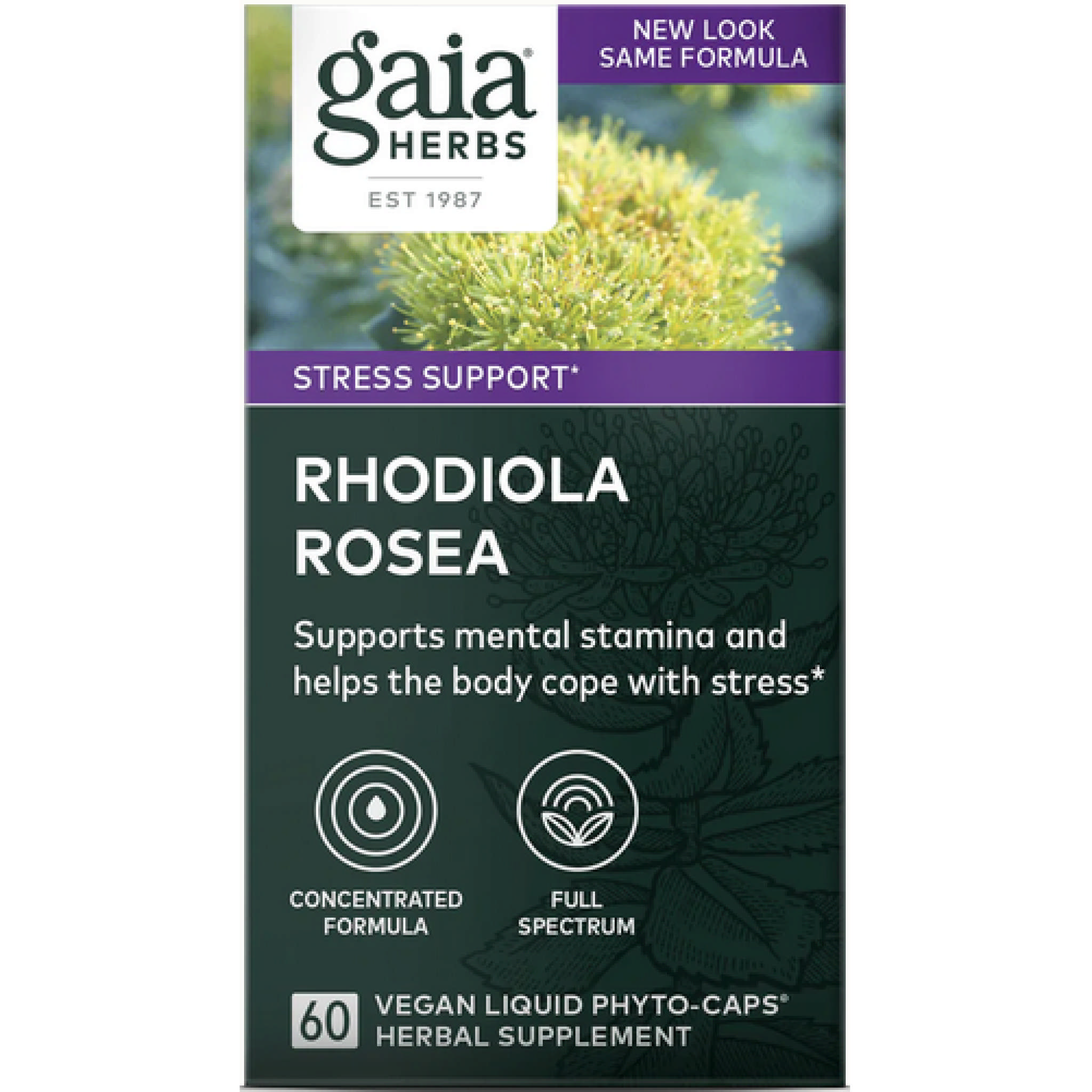 Gaia Herbs - Rhodiola Rosea Ext 240 mg