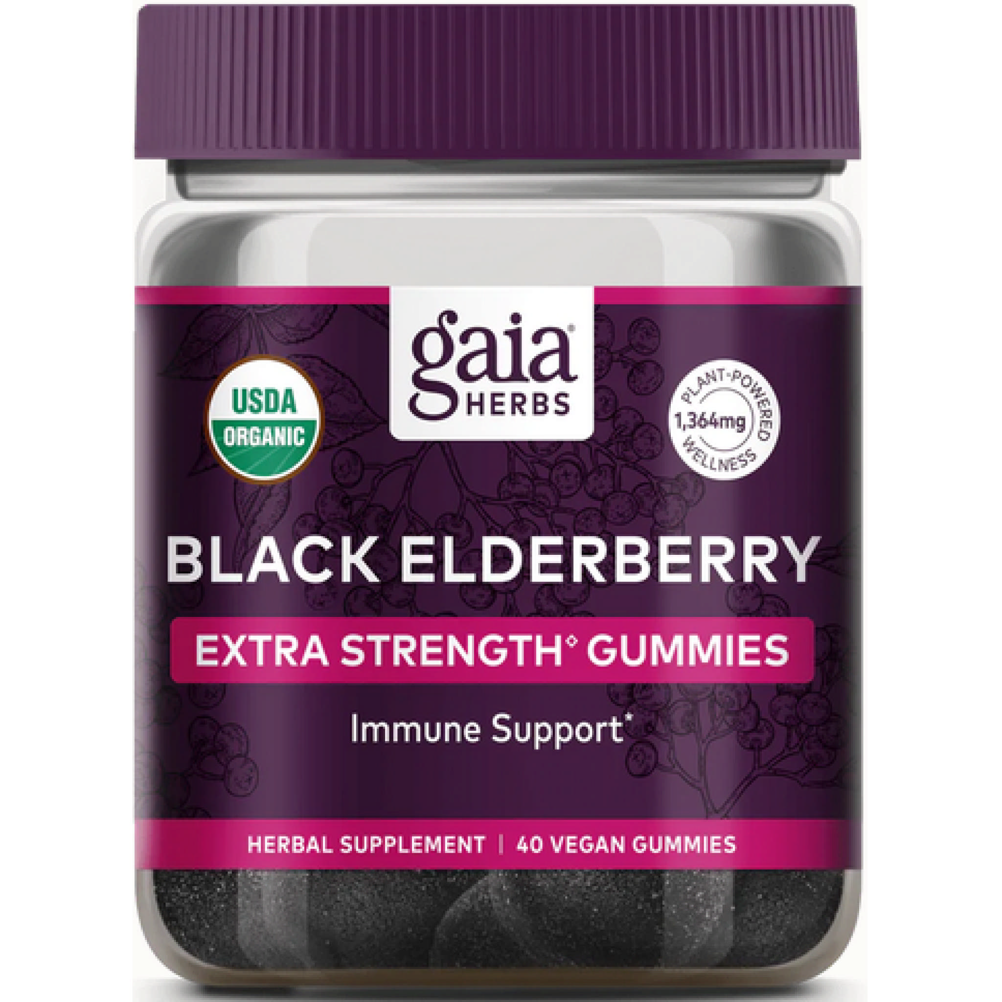 Gaia Herbs - Black Elderberry Ext Stren Gum