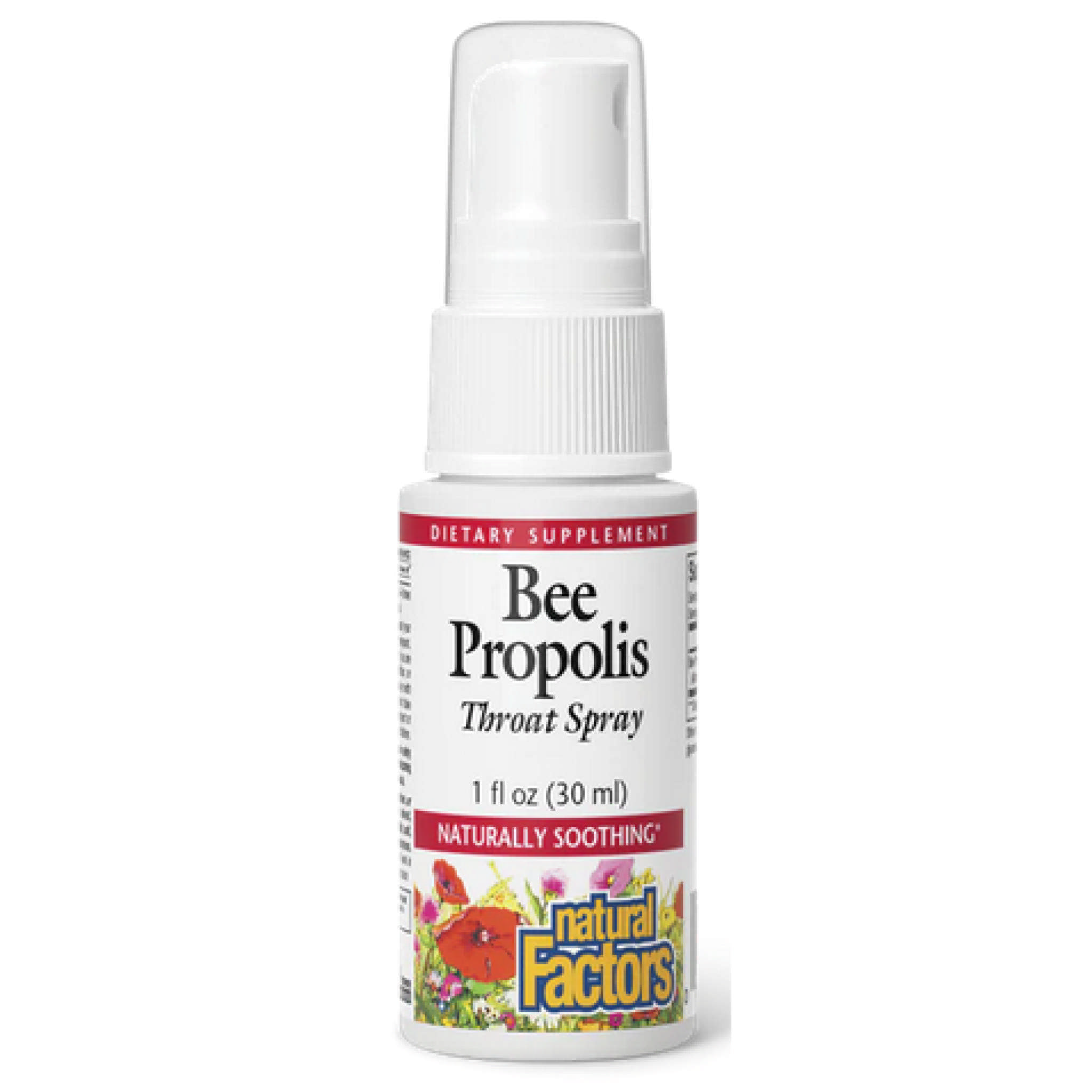 Natural Factors - Bee Propolis Throat Spray