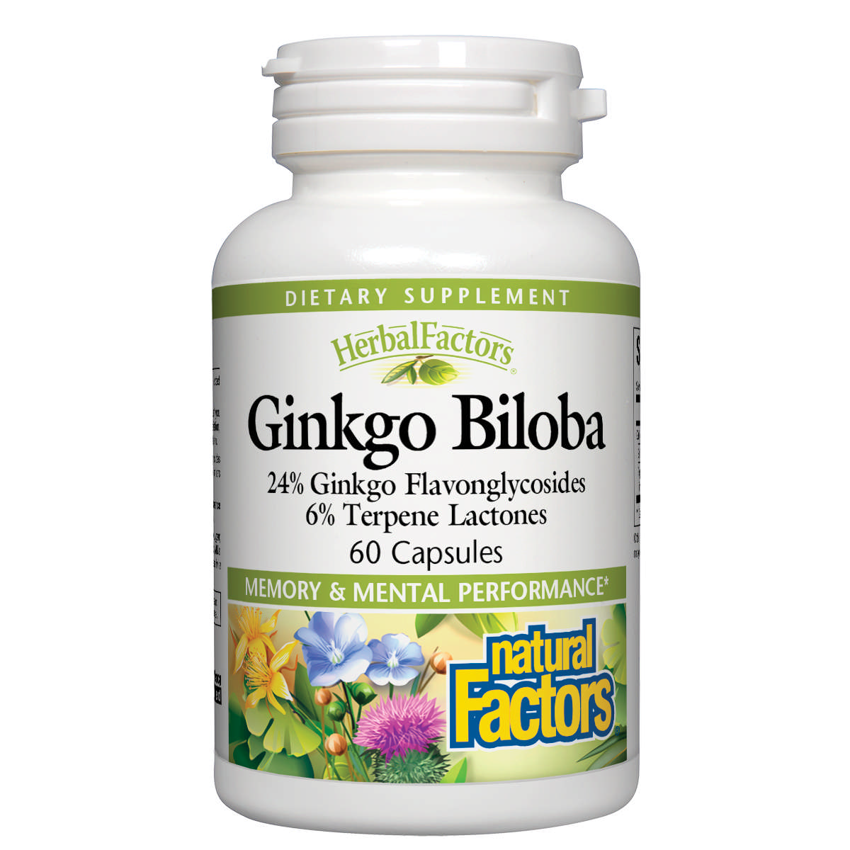 Natural Factors - Ginkgo Biloba Ext 60