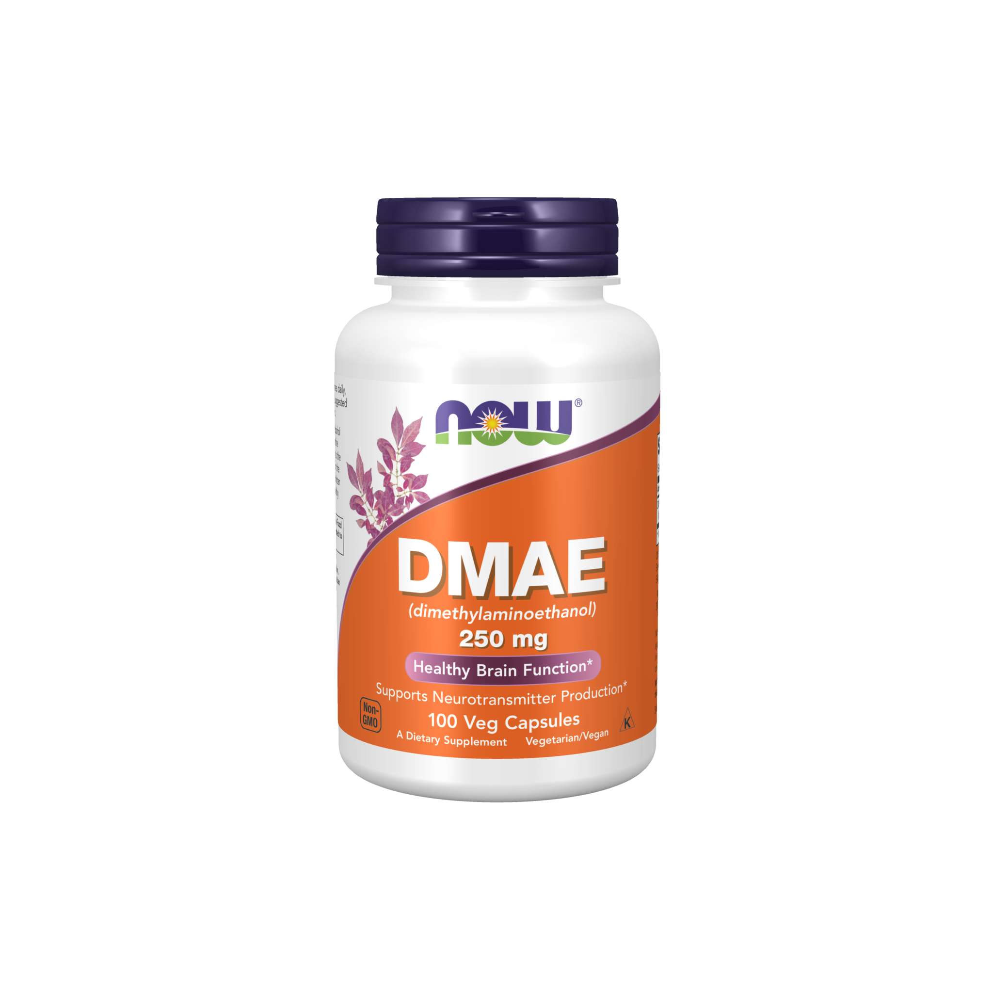 Now Foods - Dmae 250 mg