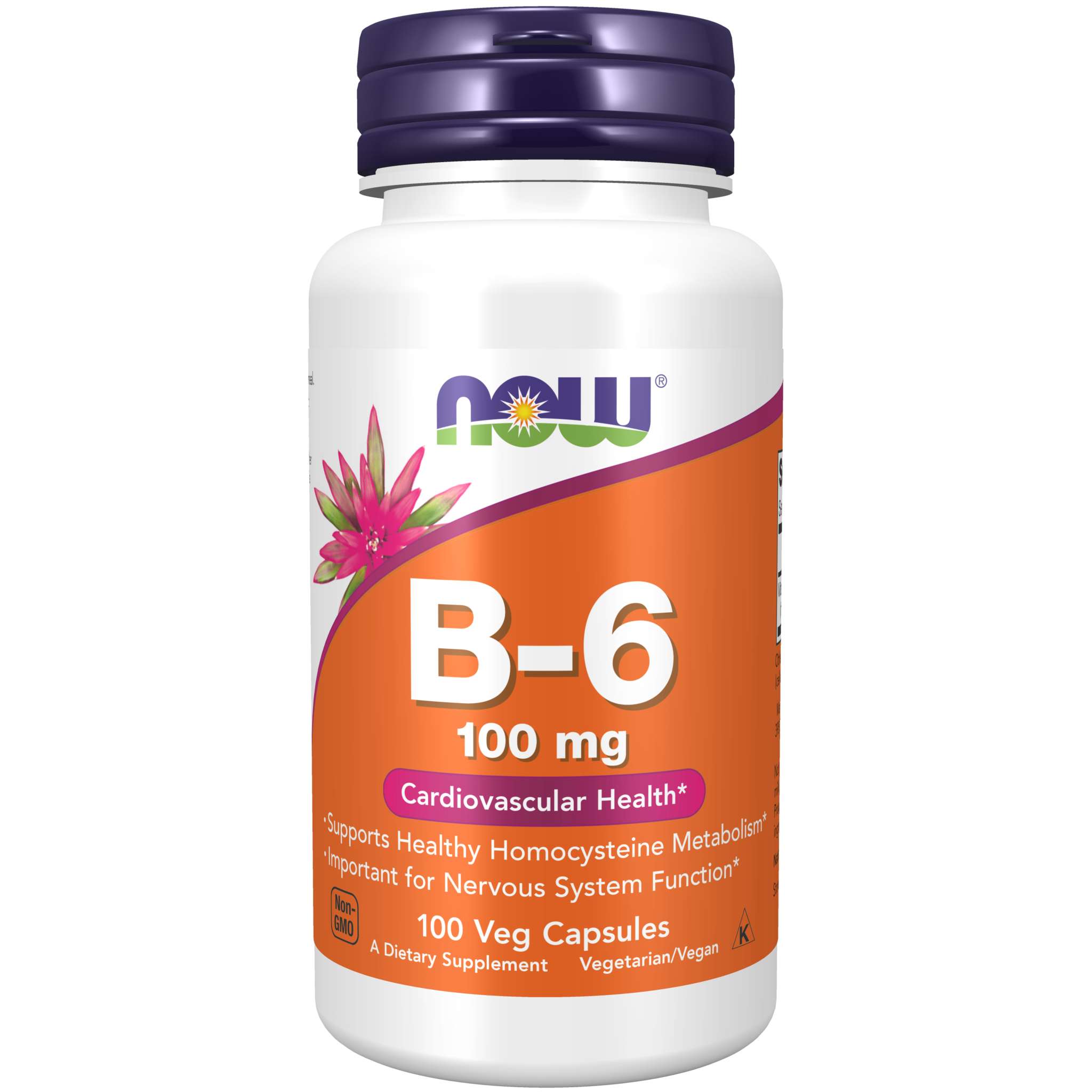 Now Foods - B6 100 mg cap