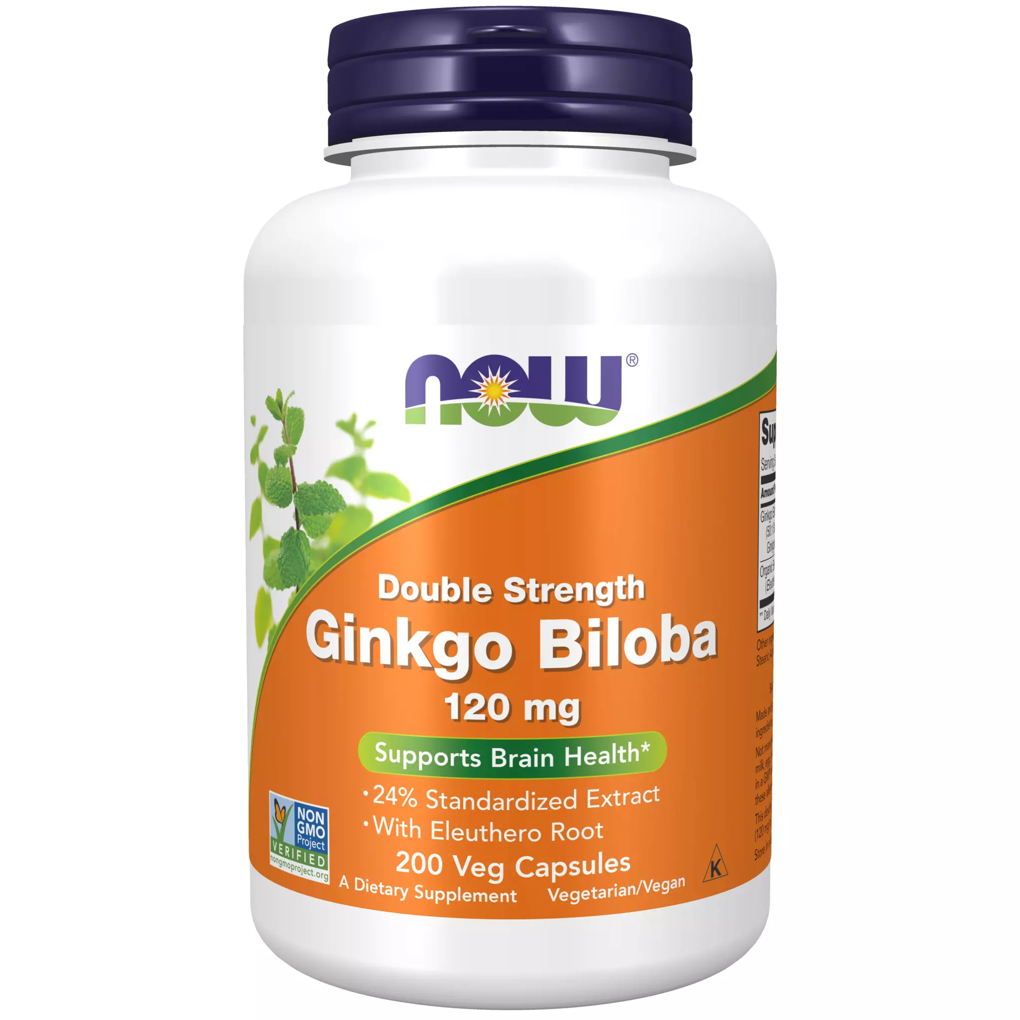 Now Foods - Ginkgo Biloba 120 mg