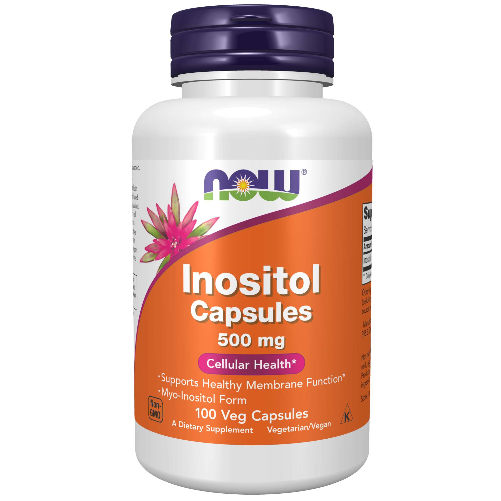Now Foods - Inositol 500 mg