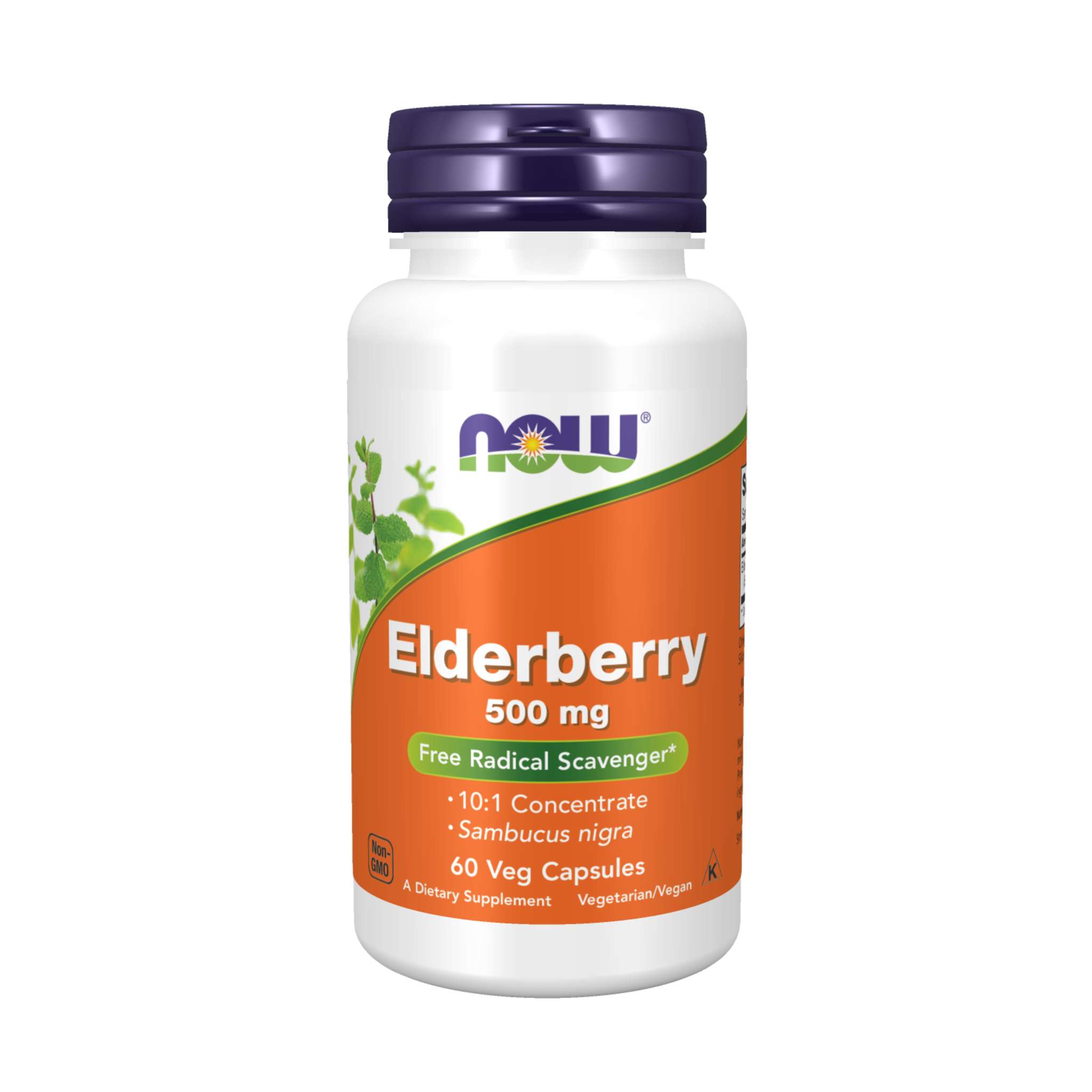 Now Foods - Elderberry Ext 10:1 500mg