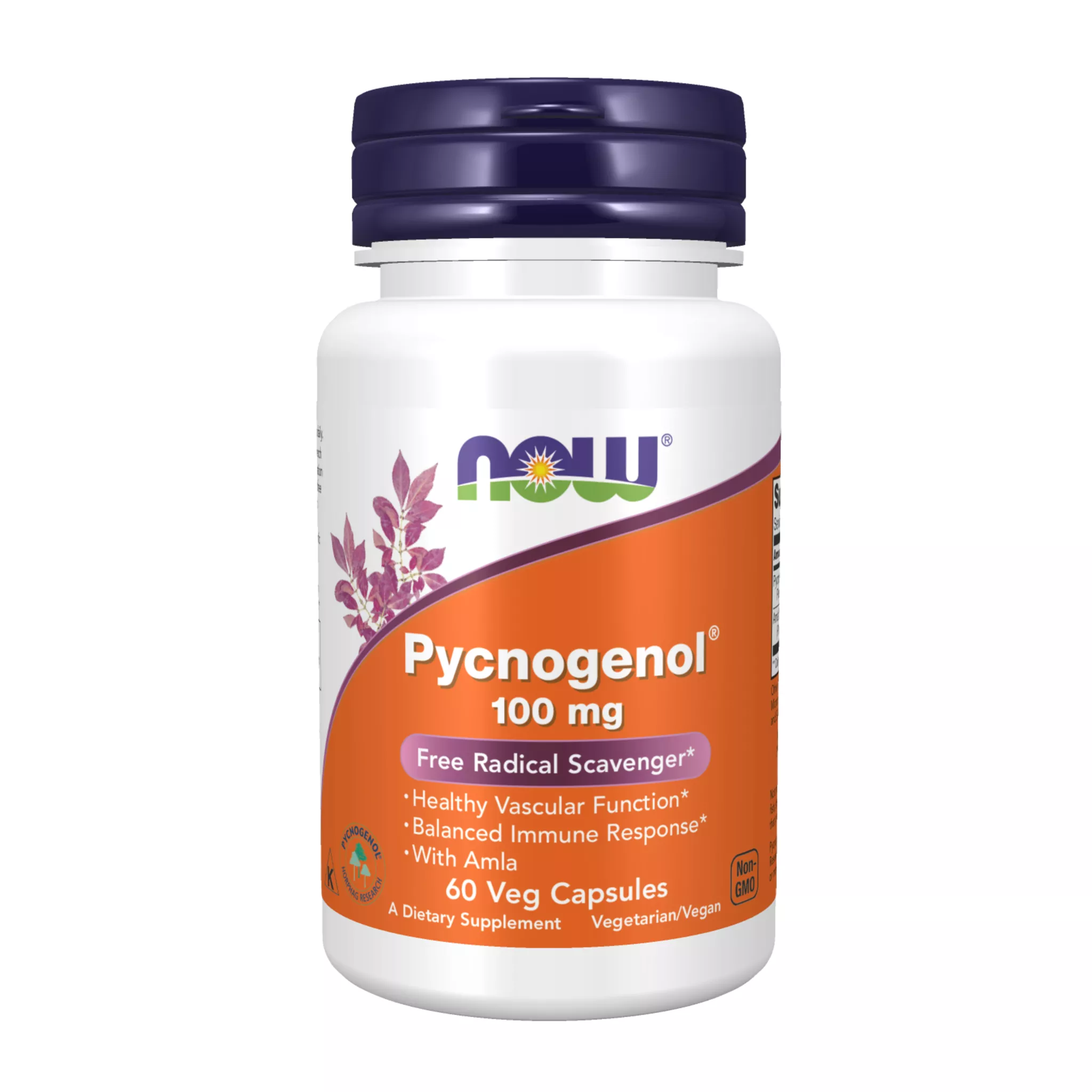 Now Foods - Pycnogenol 100 mg