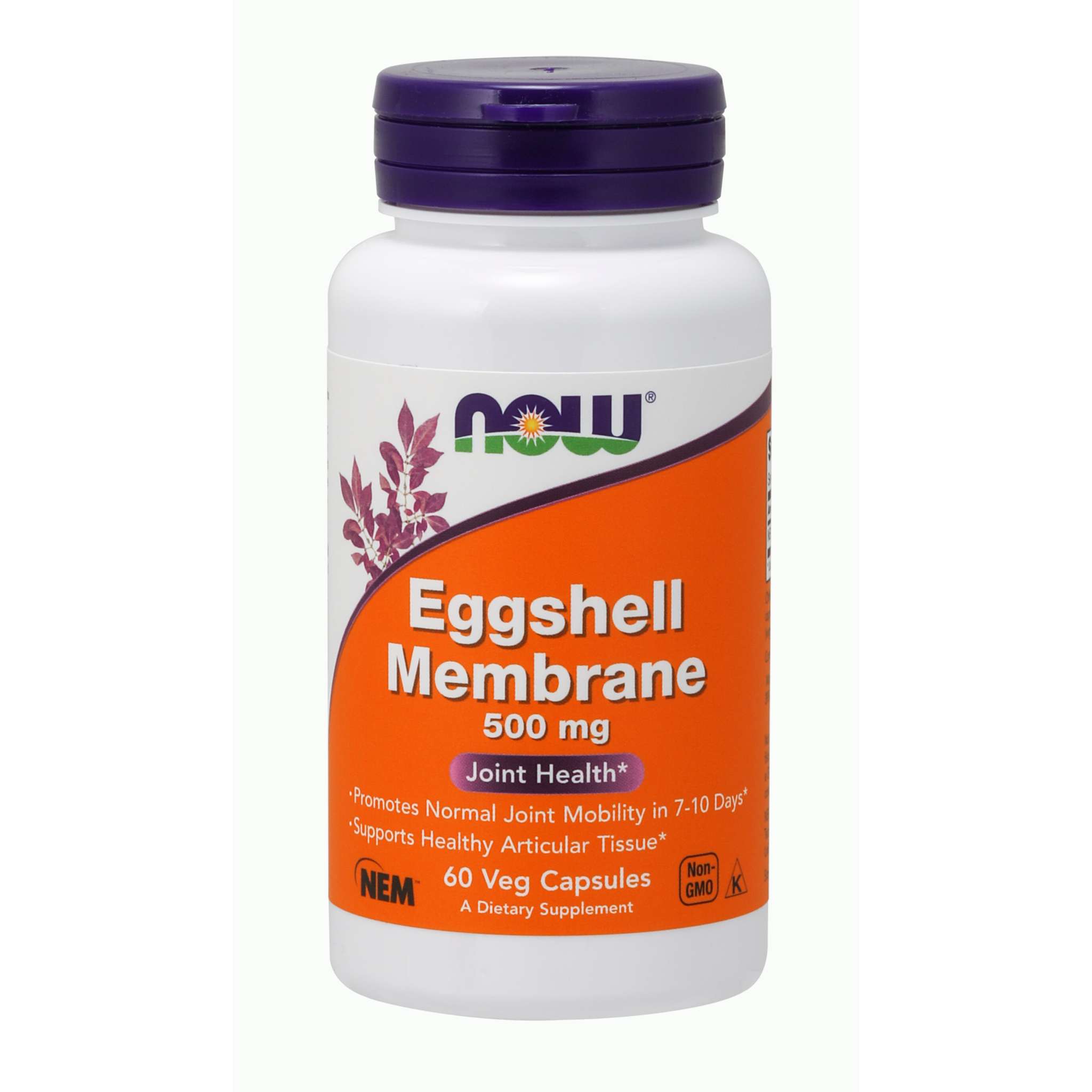 Now Foods - Eggshell Membrane 500 mg