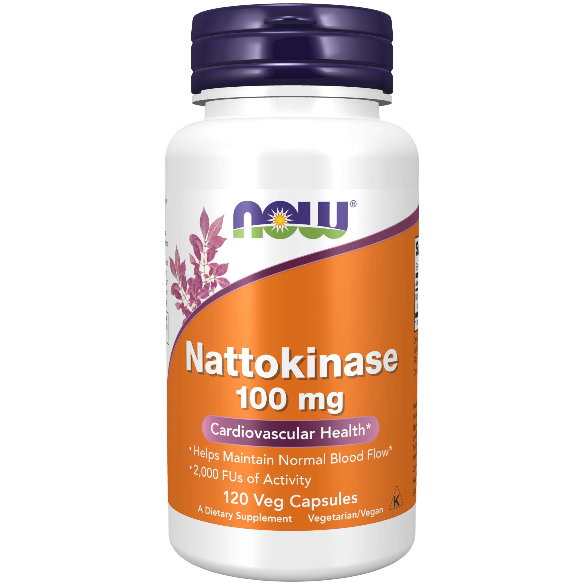 Now Foods - Nattokinase 100 mg