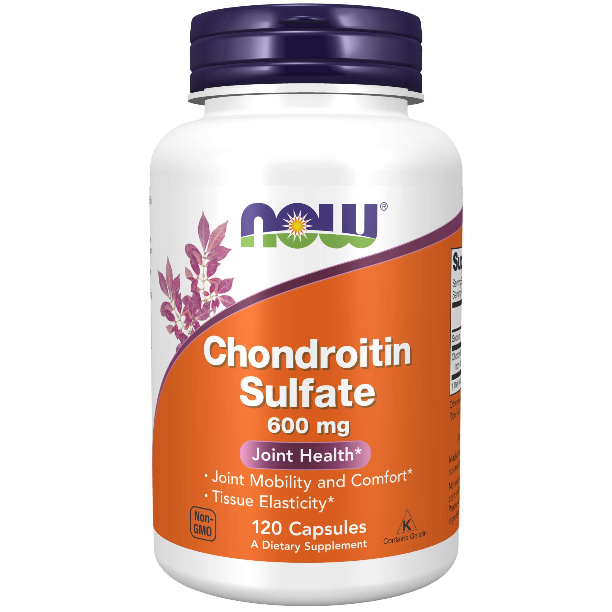 Now Foods - Chondroitin Sulf 600 mg