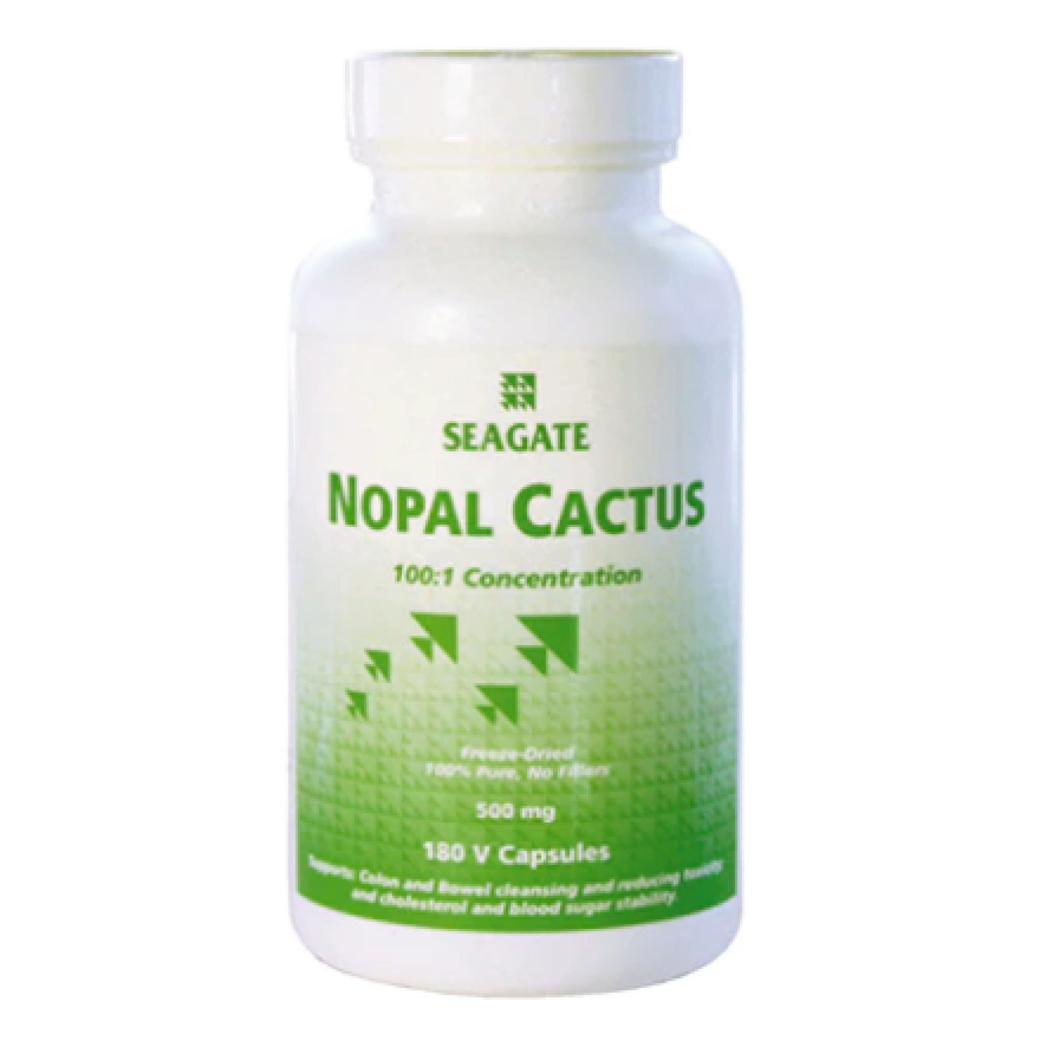 Seagate - Nopal Cactus