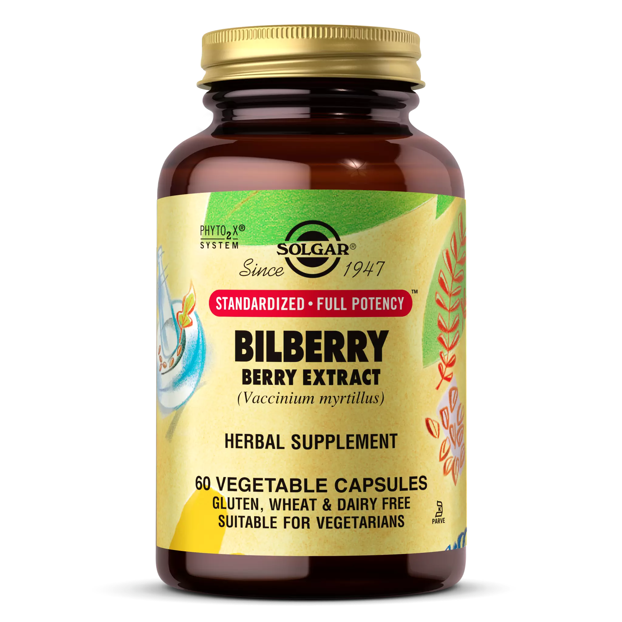 Solgar - Bilberry Extract 60 mg vCap