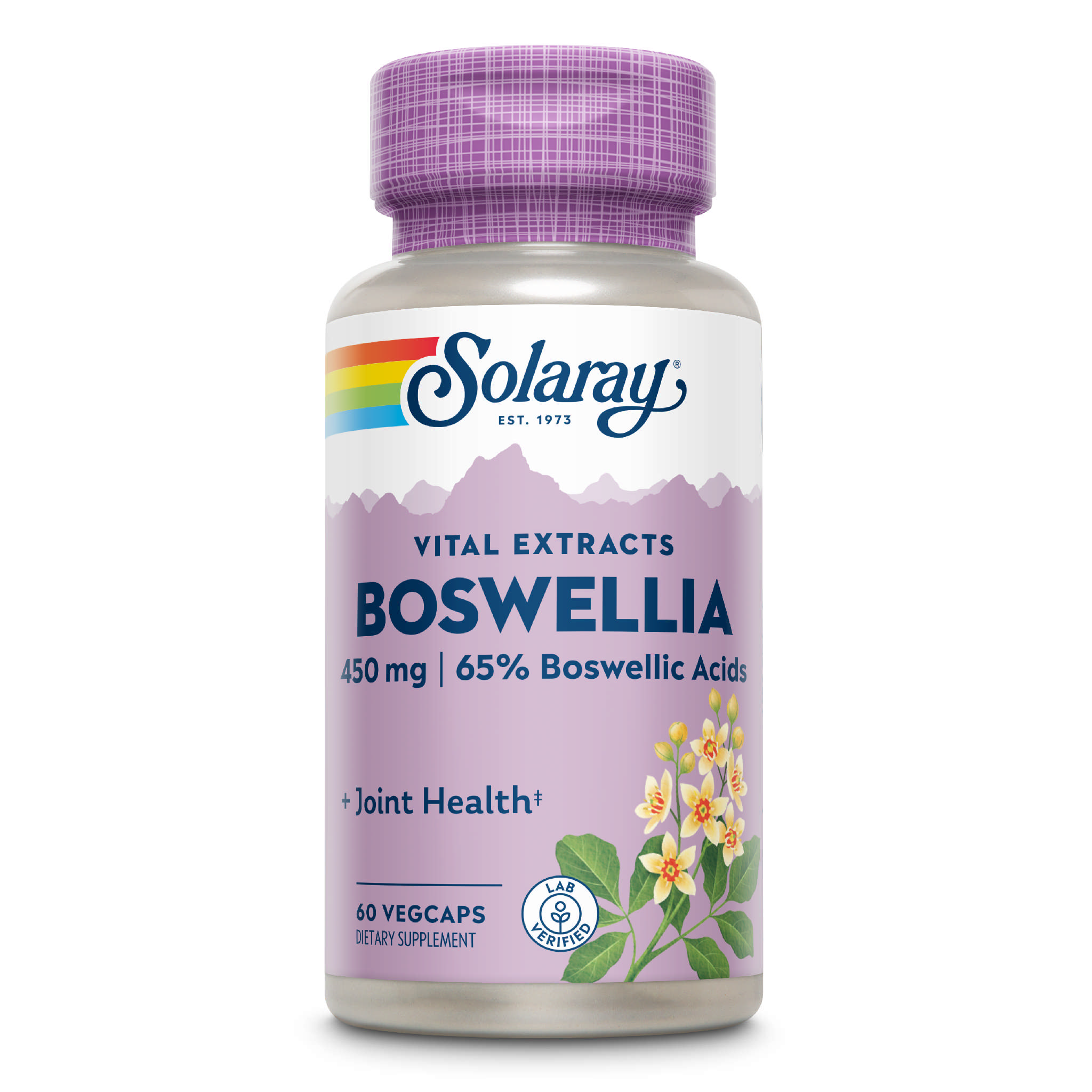 Solaray - Boswellia Ext 450 mg